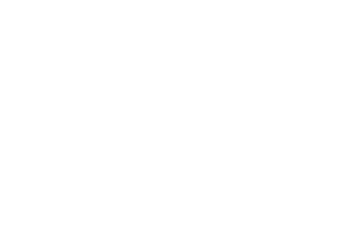 SaaSolutions logo