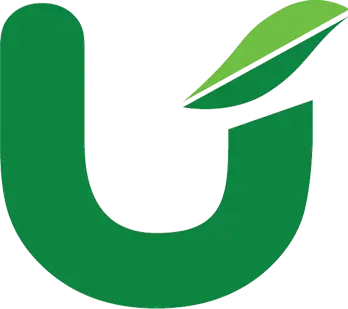 United Noodles logo